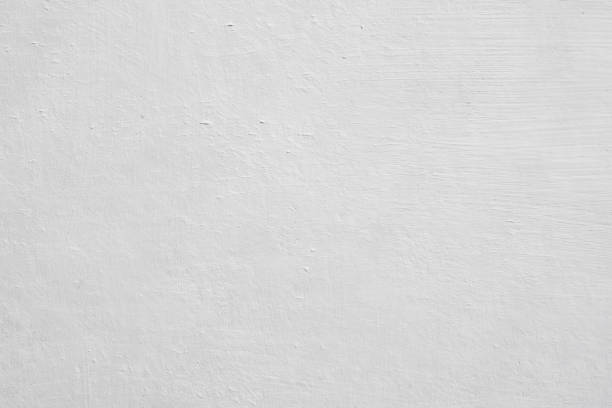 Best Basement Mold Removal  in Presidio, TX